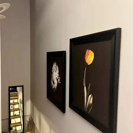 Flower House 9 Apartment